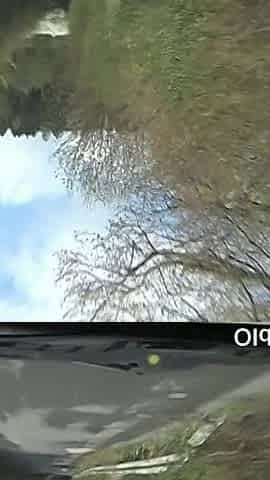 Olds Fuck Dolls - Young Slut Sarah Sweet Giving POV Blowjob to Old Man in Car