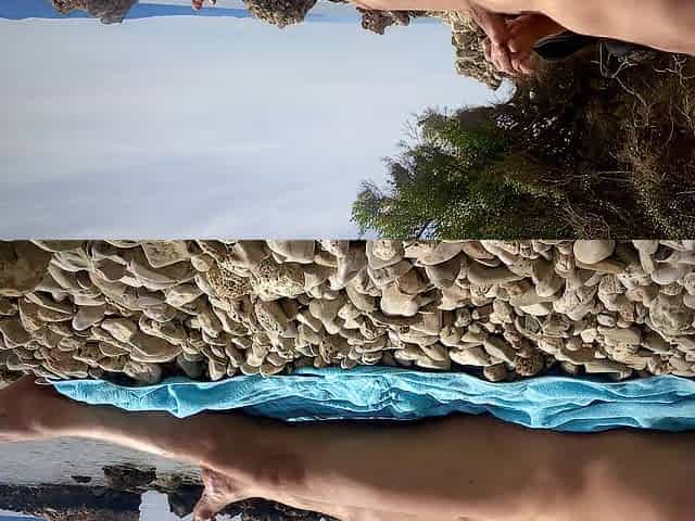 Slutty on the beach