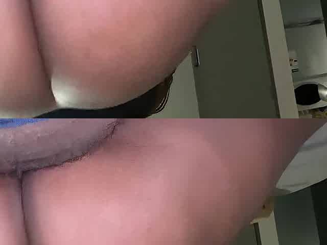 Wits Student reverse cow beauty