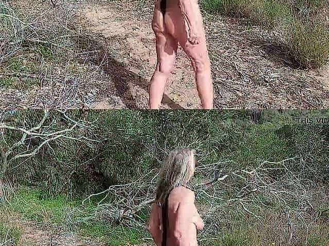 Aged Woman Is Wandering Around Stripped in the Woods, Looking for a Lover!
