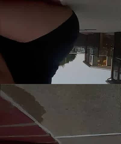 Public masturbating in my backyard during the time that neighbors are out!!