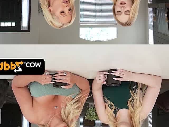 Busty Curvy In Wild Group Fuck - Joshua Lewis, Alura Jenson And Audrey Madison