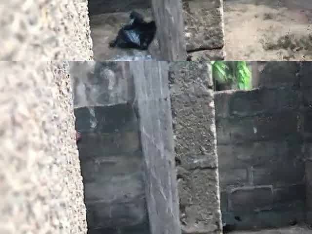 Enugu spa attendant gets caught off guard by bbc in the backyard creaming on his weenie