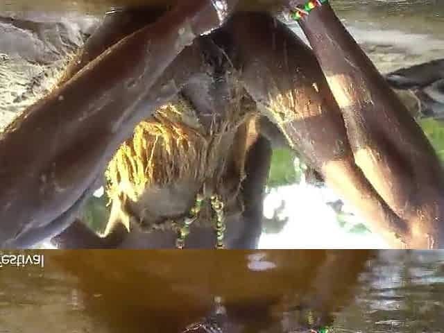 Sexy slim Afro village woman bathing and teasing in a river