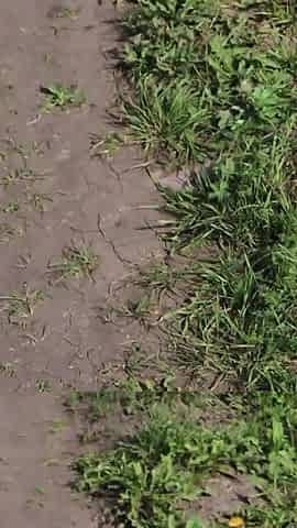 Fucked My Best Friend's Girlfriend in the Woods