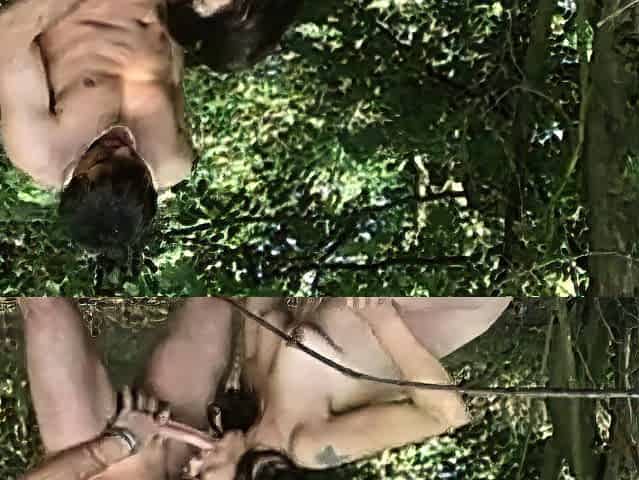 German Public Amateurs 163