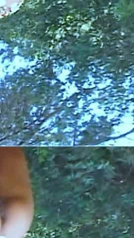 Karla Sanchez and Jorge, Pissing Together in the Forest