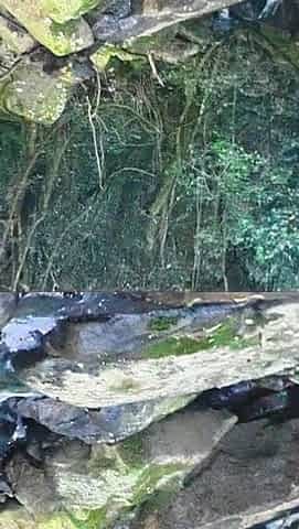 MILF Gets Her Pussy Eaten and Fucked at the River