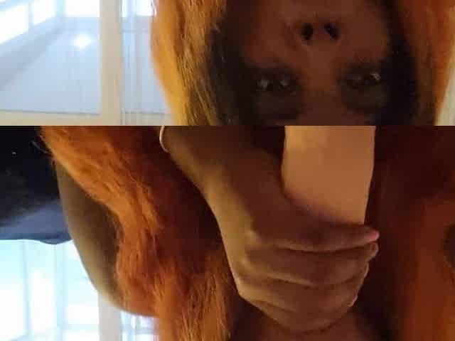Ebony angel suck large wang