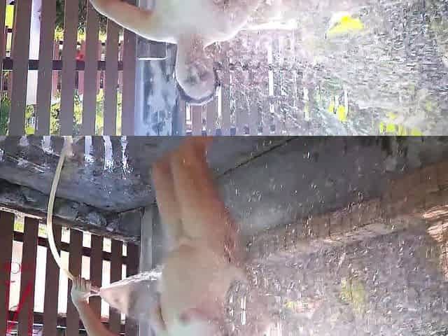 Nudist Exposed maid Naked housewife Shower country Bikini outdoor public garden butt cunt