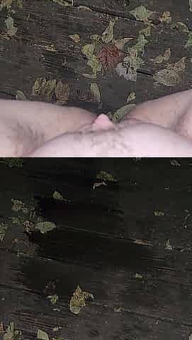 FTM Outdoor Night Void urine