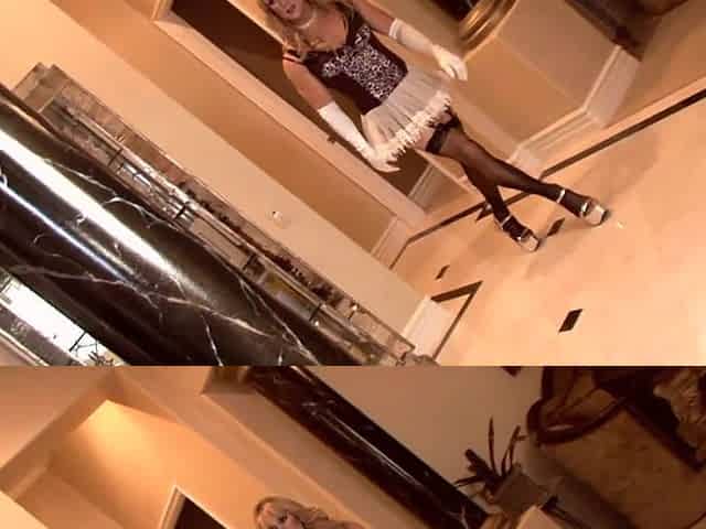 Dick or Treat - Starring: Bridgette B, Kelly Madison