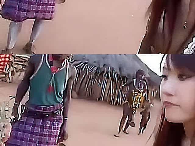Japan Donates Fresh Meat To Africa