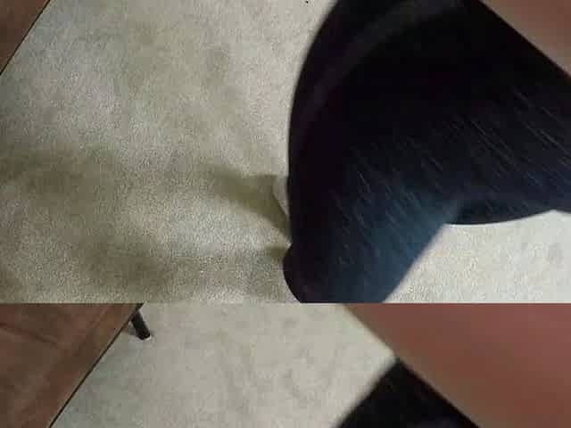 Big tit teen blowjob cumshot videos