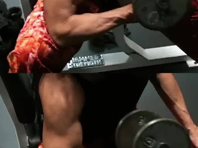 Large Biceps Concentration Curls Gym Workout FBB