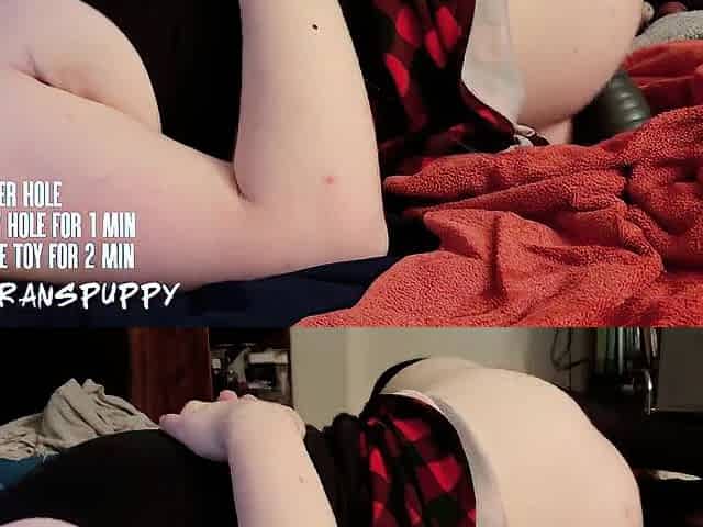 SLUTtransPUP edges and toys live on stream