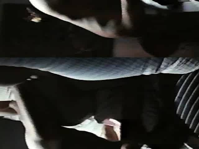 Julia Taylor Nun AnalBig Boobs Blowjobs Hardcore Vintage