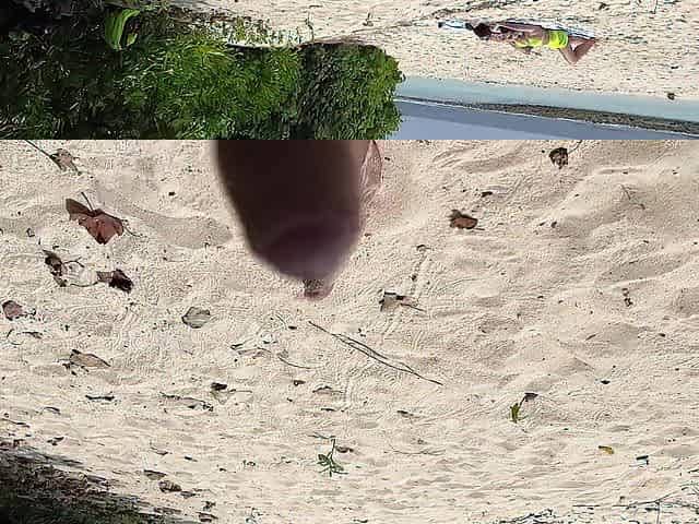 Pervert cummed on angels during the time that they were sunbathing on a public beach