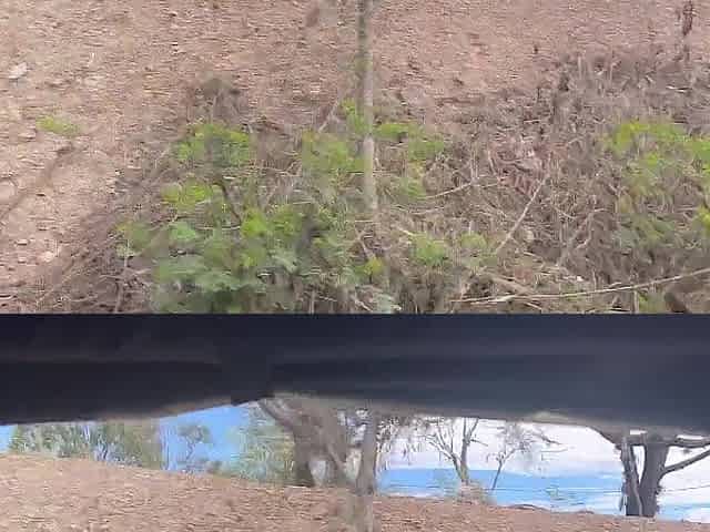Outdoor lesbo sex after a dose of adrenaline.