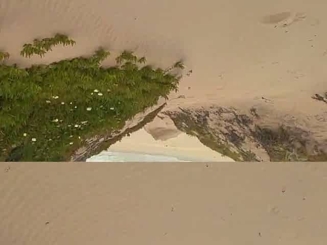 Peeing at a naked Beach