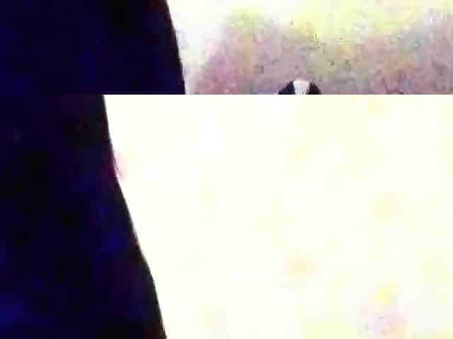 Asian Massage Parlor Amateur Video