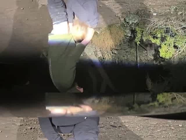 Pulled Over to Fuck Blonde Babe on the Roadside