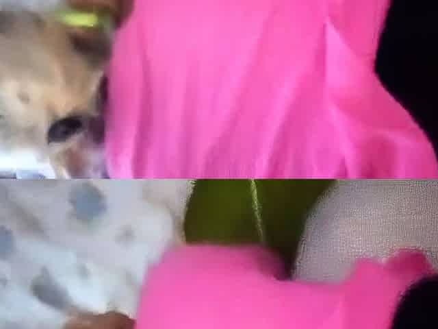 Culeando con mi Esposa Latina - Doggy Style Amateur