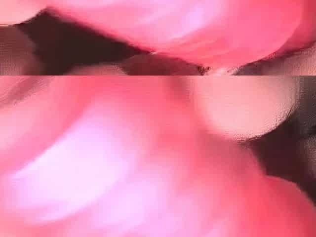 Japanese Amateur Couple's POV Sex Tape