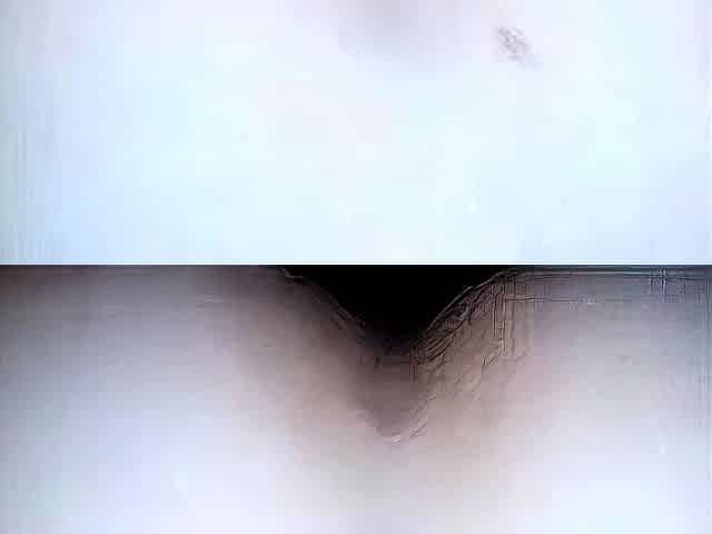 Korean Doggy Style Amateur Video