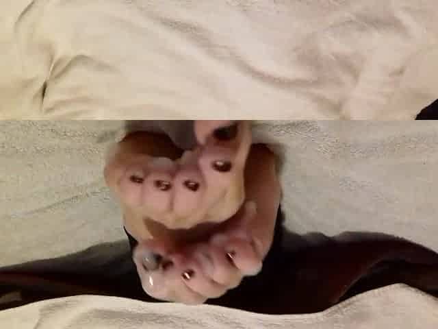 Widening thick cum between my toes - cum on feet