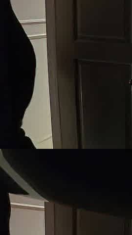 Hopeless Pee in the midst of the night