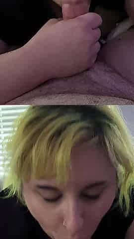 pov: oral job on the bed