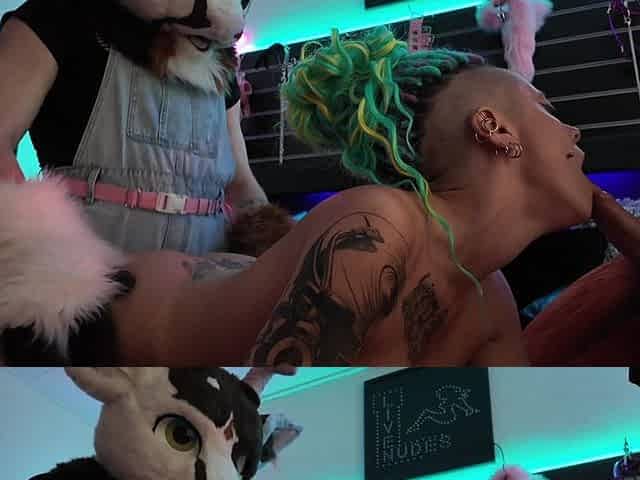 Furry Threesome
