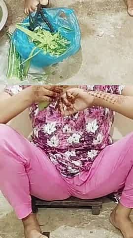 Working Indian Girl Fuck Bangla Dirty Talk