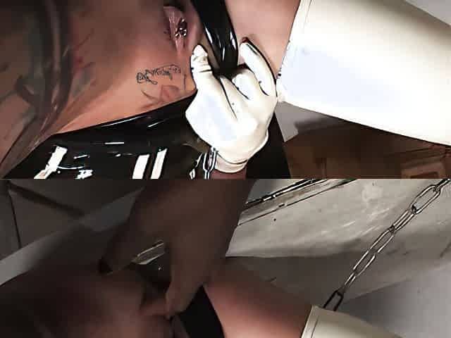 Trashy Tara Used