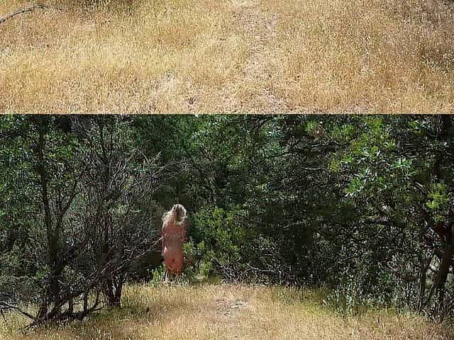 Nudists Fuck Outdoors While Hiking and Nudist Resort