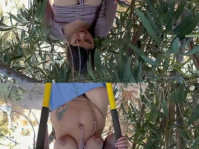 A bush in a bush