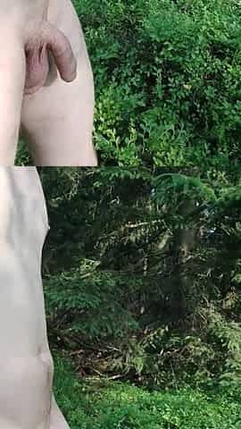 Walk exhibitionist in the forest