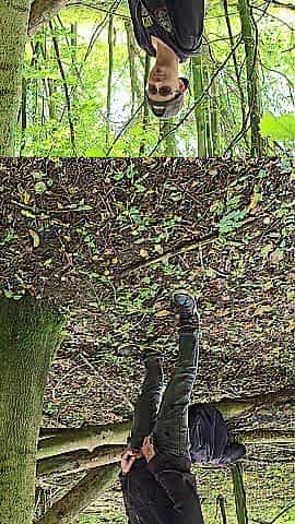 I was walking in the forest and needed to take void urine
