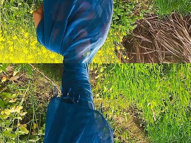 Sexy Wife Outdoor Farm Anal Video Desi Bhabhi