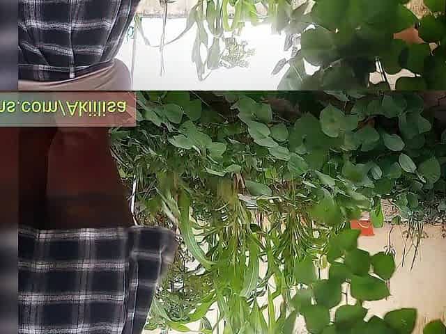 Afro honey AKIILISA gardening day