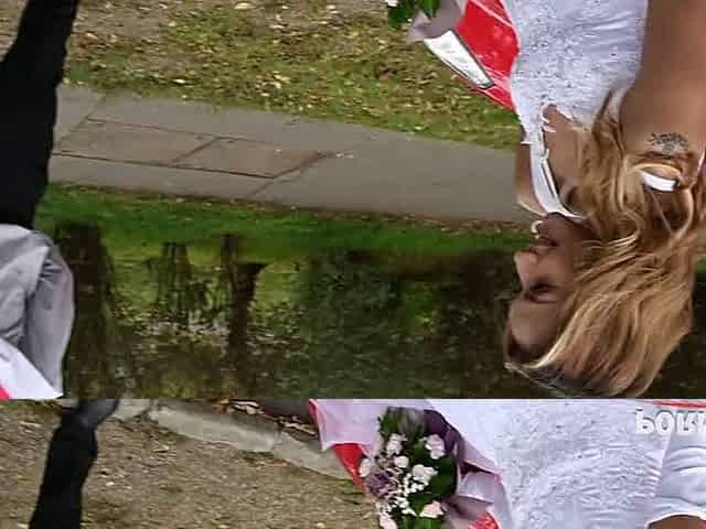 Blowjob home porn 2026