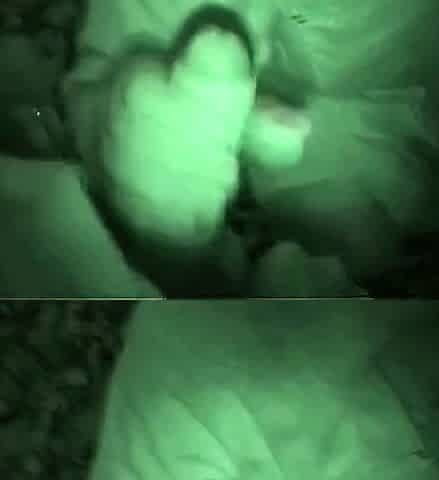 Pipe dans les bois - French Blonde MILF Blowjob