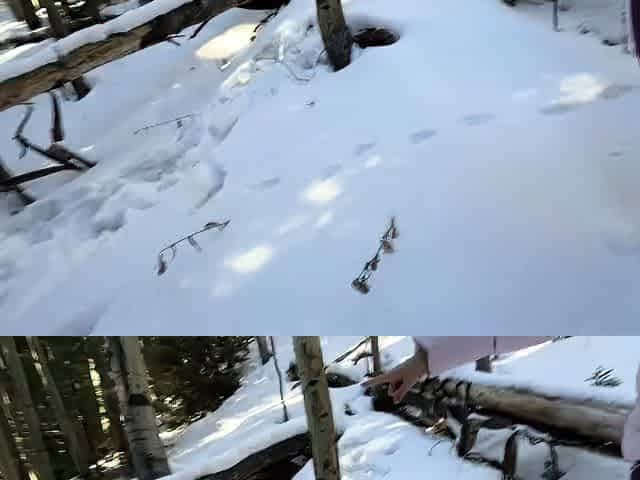 OnlyFans Lucy Mochi Snow Trip Anal PP