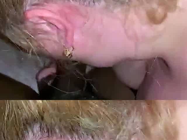 Mature German BBW Deepthroats BBC