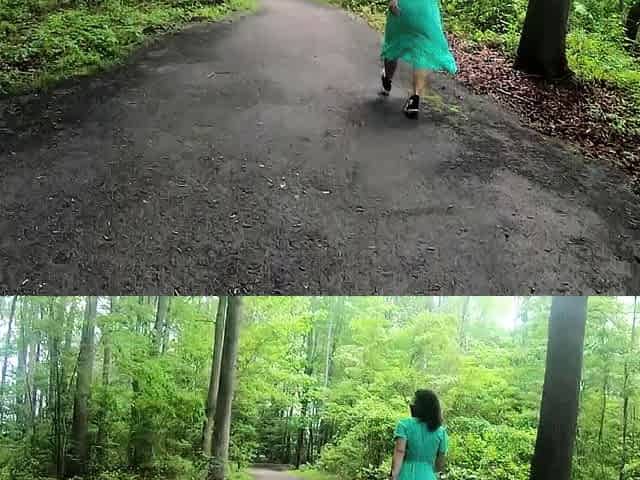 AmWednesday - chains in a forest