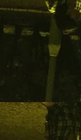 Slut Public Blowjob in Park