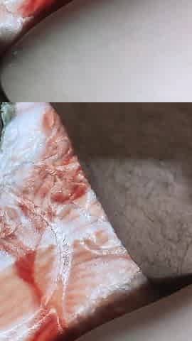 Arab Teen Sex Arab Egypt