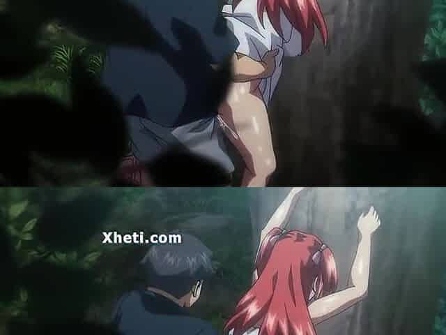 Hentai Comics, Animation porn