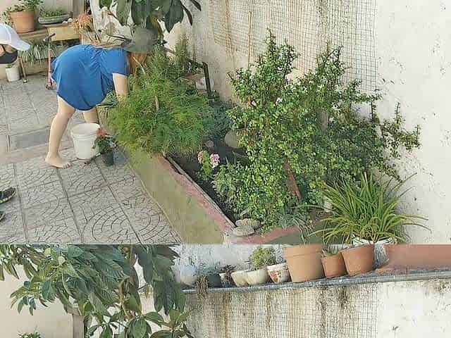 Sex with the voyeur gardener with a hotty in a short suit out of pants